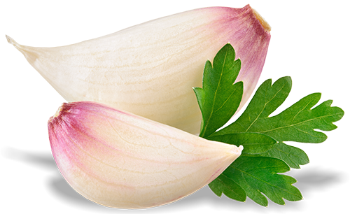 Fresh garlic cloves